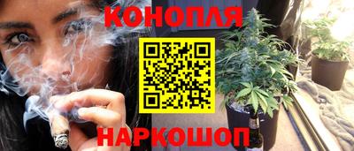 дмт Севастополь