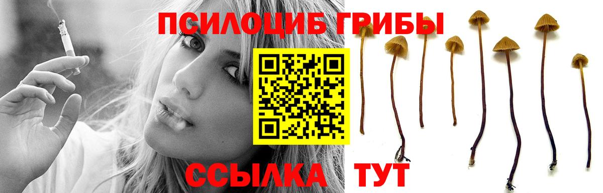 Тобольск  хочу наркоту  Вход с VPN  Псилоцибиновые грибы Cubensis 
